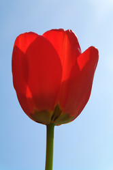 Similar image 635309