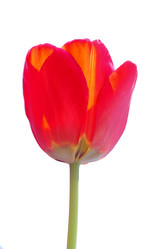 Similar image 635311