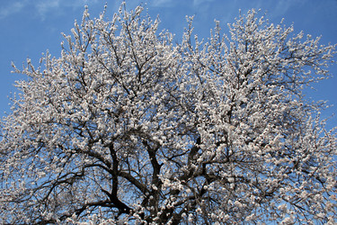 Similar image 635315