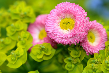 Similar image 635316