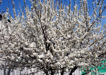 Similar image 635317