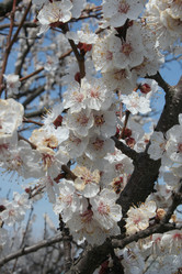 Similar image 635329