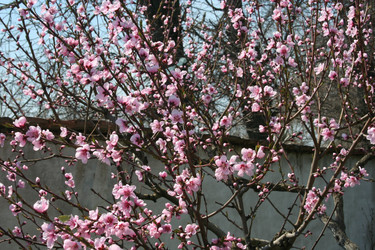 Similar image 635348