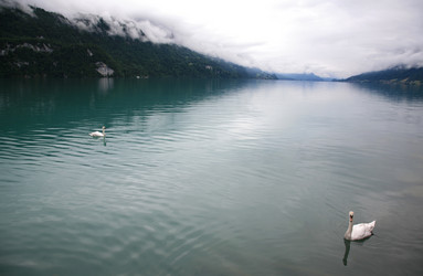 Similar image 635355