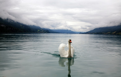 Similar image 635356