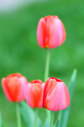 Similar image 635410