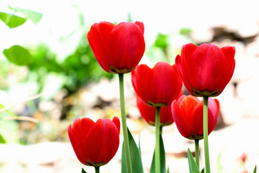 Similar image 635413