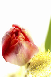 Similar image 635416