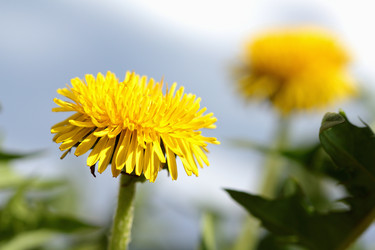 Similar image 635417