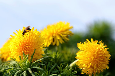 Similar image 635418