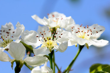 Similar image 635421