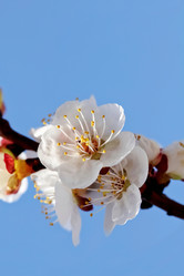 Similar image 635422