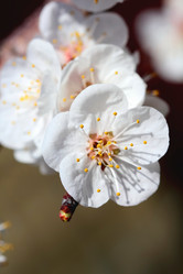 Similar image 635423