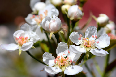 Similar image 635424