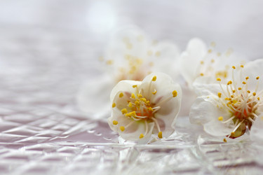 Similar image 635426