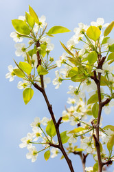 Similar image 635427