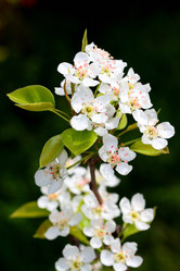 Similar image 635429