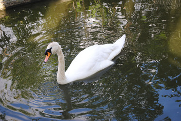 Similar image 635431