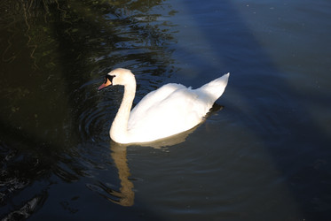 Similar image 635432