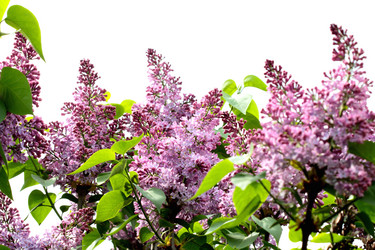 Similar image 635443