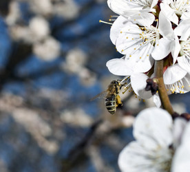 Similar image 635454