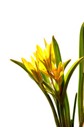 Similar image 635456