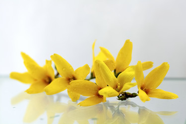 Similar image 635457