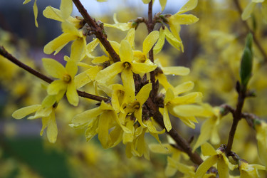 Similar image 635469