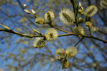 Similar image 635473