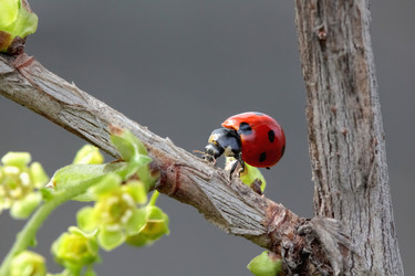 Similar image 635479