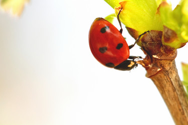 Similar image 635487