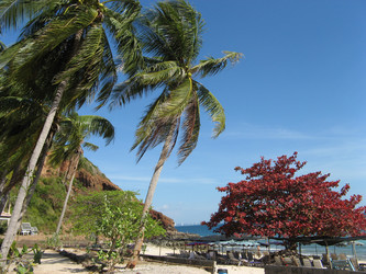 Similar image 635597