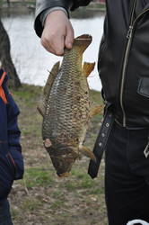 Similar image 635601