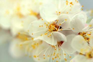 Similar image 635605