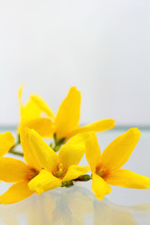 Similar image 635606