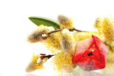 Similar image 635612