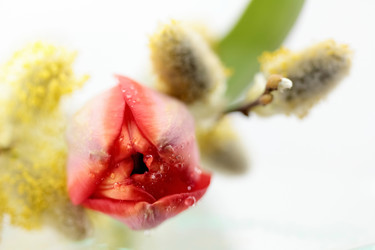 Similar image 635613