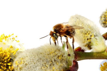 Similar image 635614