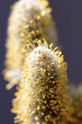 Similar image 635617