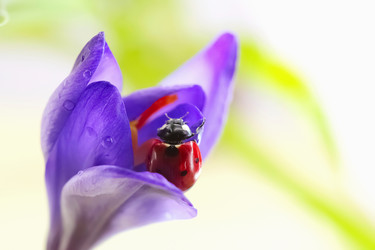 Similar image 635620