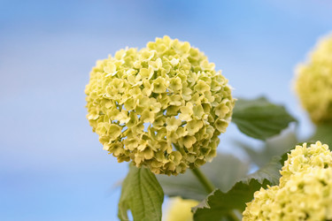 Similar image 635628