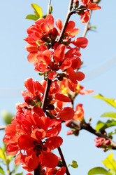 Similar image 635673