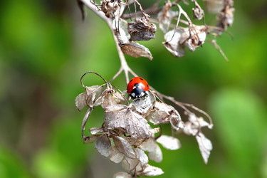 Similar image 635679