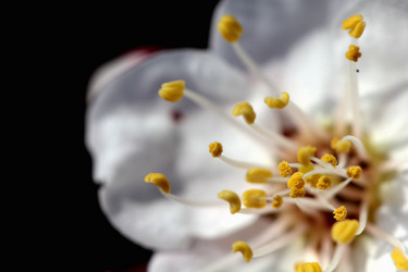 Similar image 635684