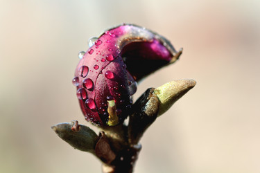 Similar image 635689