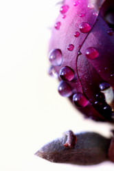 Similar image 635692