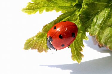 Similar image 635695