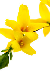 Similar image 635696