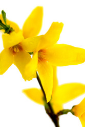 Similar image 635697