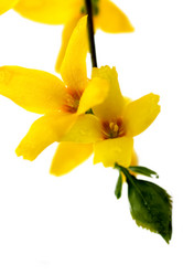 Similar image 635698